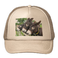 I Love Donkeys! Hat