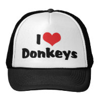 I Love Donkeys Hat