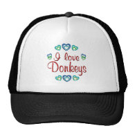 I Love Donkeys Hats