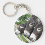 I Love Donkeys! Keychains