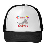 I Love Donkeys Mesh Hats