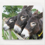 I Love Donkeys! Mouse Mat
