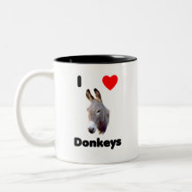 i love donkeys