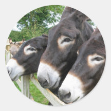 I Love Donkeys! Round Sticker
