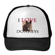 I Love Donkeys Trucker Hat
