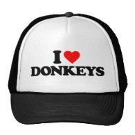 I LOVE DONKEYS TRUCKER HATS