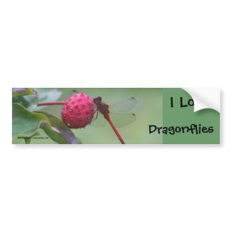 I Love Dragonflies Nature Photo Bumper Sticker bumpersticker