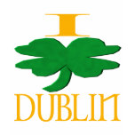 ireland,irish,irish pride,march