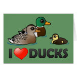 I Love Ducks Note Card