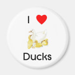 I love ducks Magnet