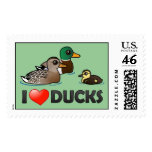 I Love Ducks Stamp