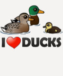 I Love Ducks Ladies Raglan Fitted T-Shirt