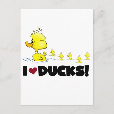 I Love Ducks Tshirts and Gifts Postcard