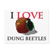I Love Dung Beetles Postcards