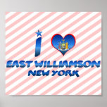 I love East Williamson, New York Poster