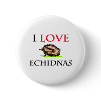 I Love Echidnas buttons by tshirtshirts I Love Echidnas buttons