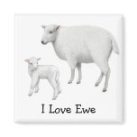 I Love Ewe Sheep Magnet