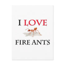 I Love Fire Ants Post Card
