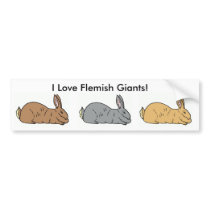 I Love Flemish Giants! Rabbit Bumper Sticker bumper stickers