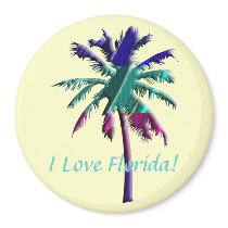 I Love Florida! magnets