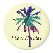 I Love Florida! magnets