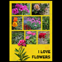 I love Flowers t-shirts