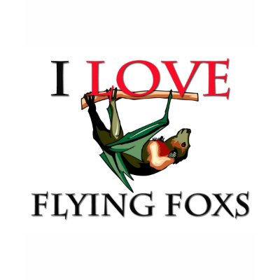 I Love Flying Foxs Shirt by tshirtshirts
