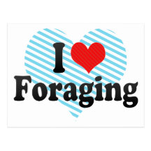 I Love Foraging Postcards