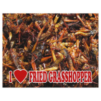 I Love Fried Grasshopper Flyer Design