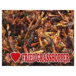 I Love Fried Grasshopper Flyer Design