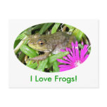 I Love Frogs! Cards, Shirts & Gift Items Postcard