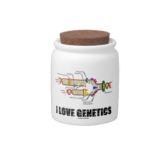 I Love Genetics (DNA Replication) Candy Jars