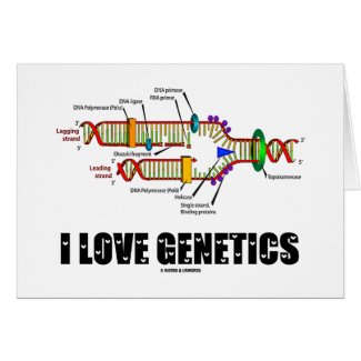 I Love Genetics (DNA Replication) Cards