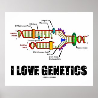 I Love Genetics (DNA Replication) Print