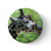 I Love Giraffes Buttons