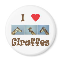 I love giraffes magnets
