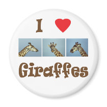 I love giraffes magnets