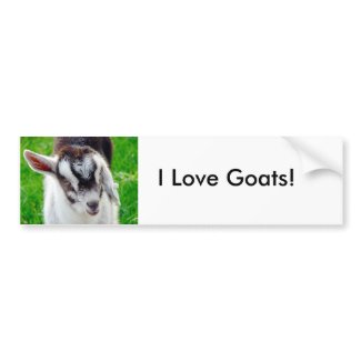 I Love Goats! bumpersticker