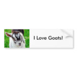 I Love Goats!