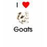 I love goats T-Shirt