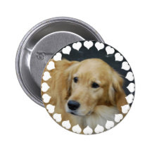 I Love Goldens  Button