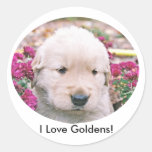 I Love Goldens! Stickers