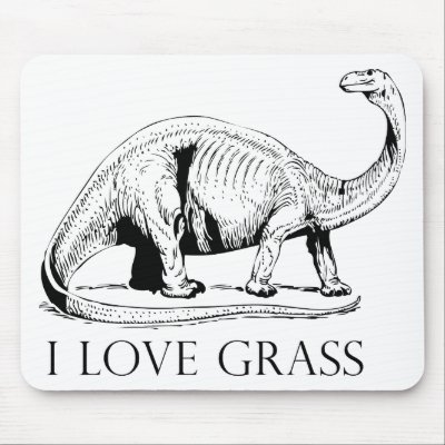 i love grass