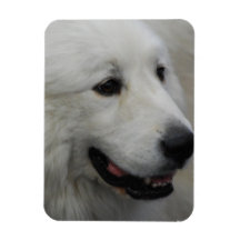 I Love Great Pyrenees Flexible Magnet