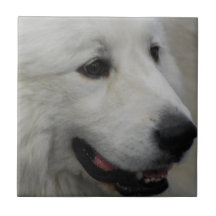 I Love Great Pyrenees Tile