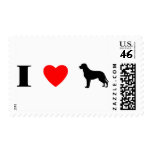 I Love Greater Swiss Mountain Dogs postage