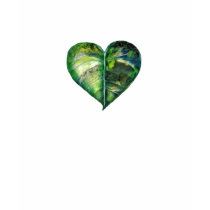 I Love Green Long Sleeve T-Shirt