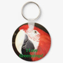 I Love Greenwings! keychains