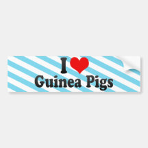 I Love Guinea Pigs Bumper Sticker
