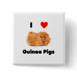 I love guinea pigs Button